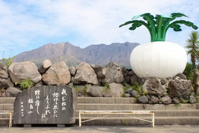 終了　桜島物産館　即売会