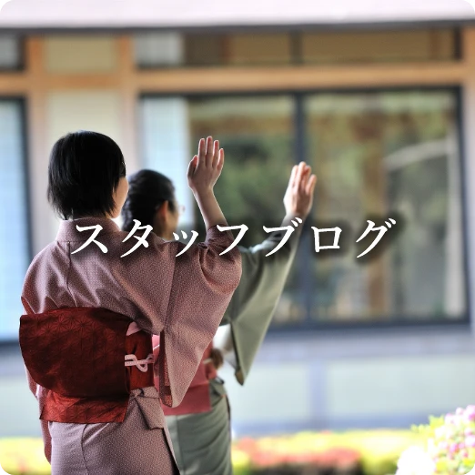 スタッフブログ
