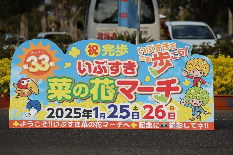 第33回 いぶすき菜の花マーチ2025＜初日の様子＞
