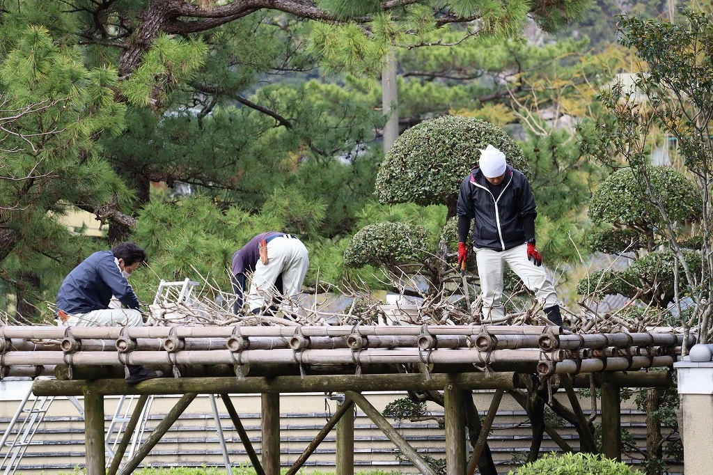 毎日の植栽の管理と花木