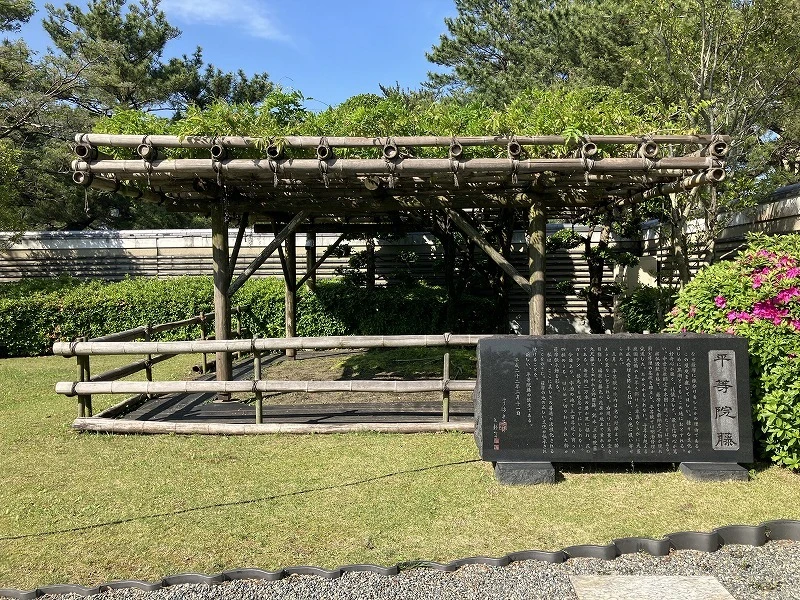 平等院藤が咲き始めました。