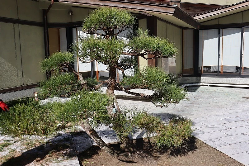 指宿白水館の庭園