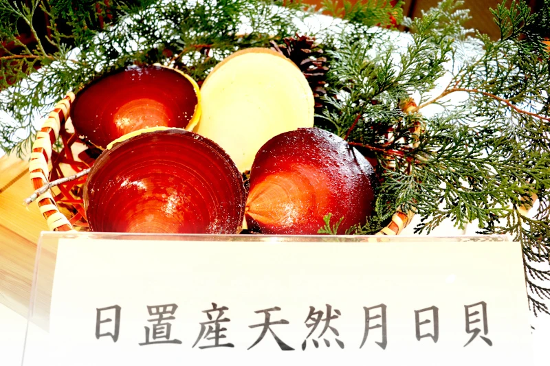 日置産の天然月日貝メニューお披露目試食会とディナープラン