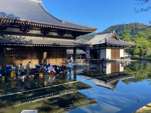 薩摩伝承館池の清掃作業が行われました。