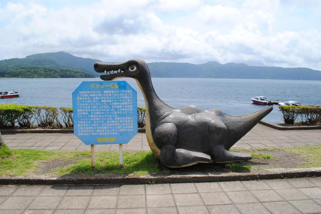 九州最大のカルデラ湖「池田湖」アクティビティ
