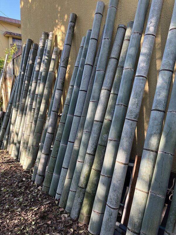 お正月に向けて門松作りが始まりました。