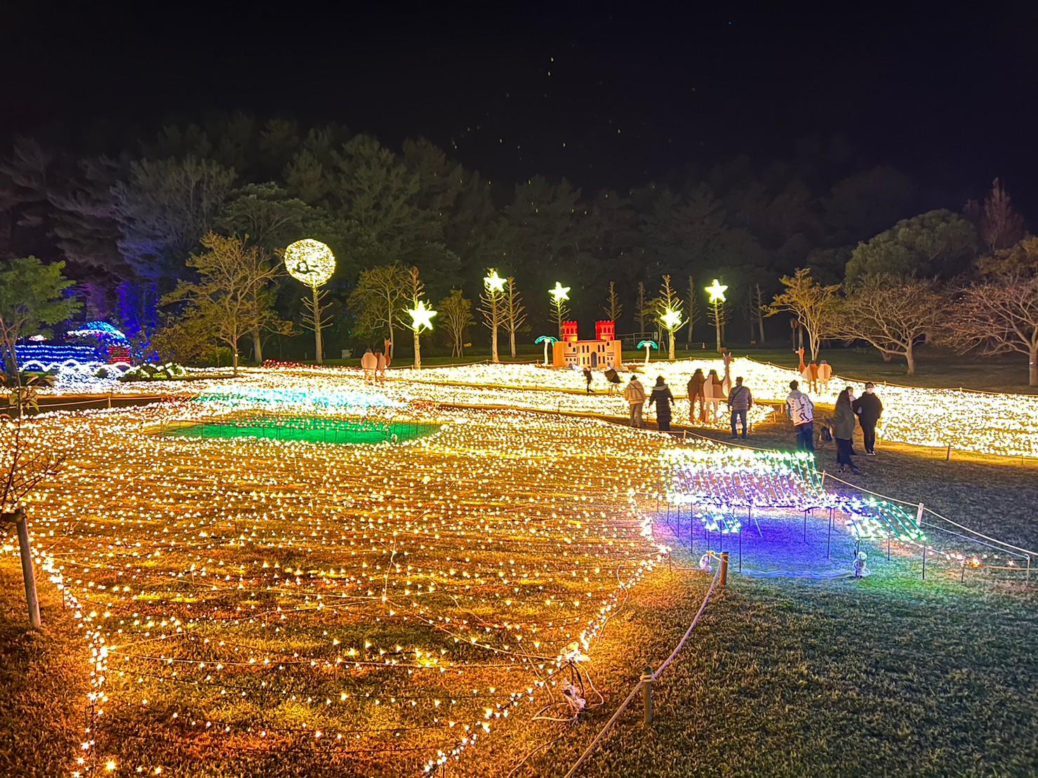 冬の風物詩「フラワーパークイルミネーション」